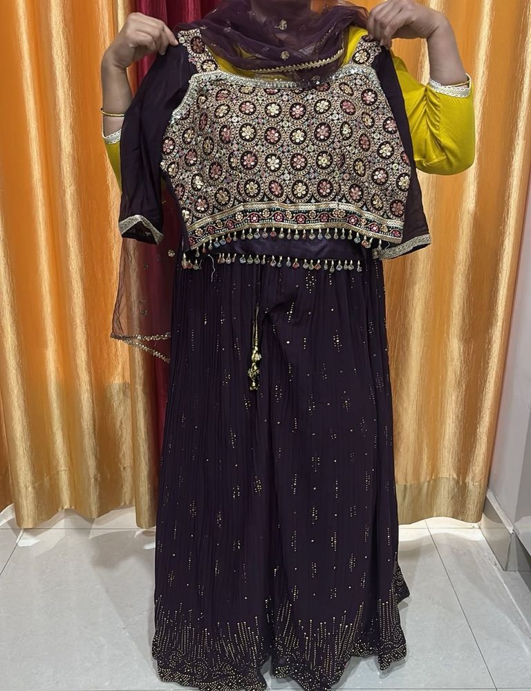 Embroidered lehnga choli set