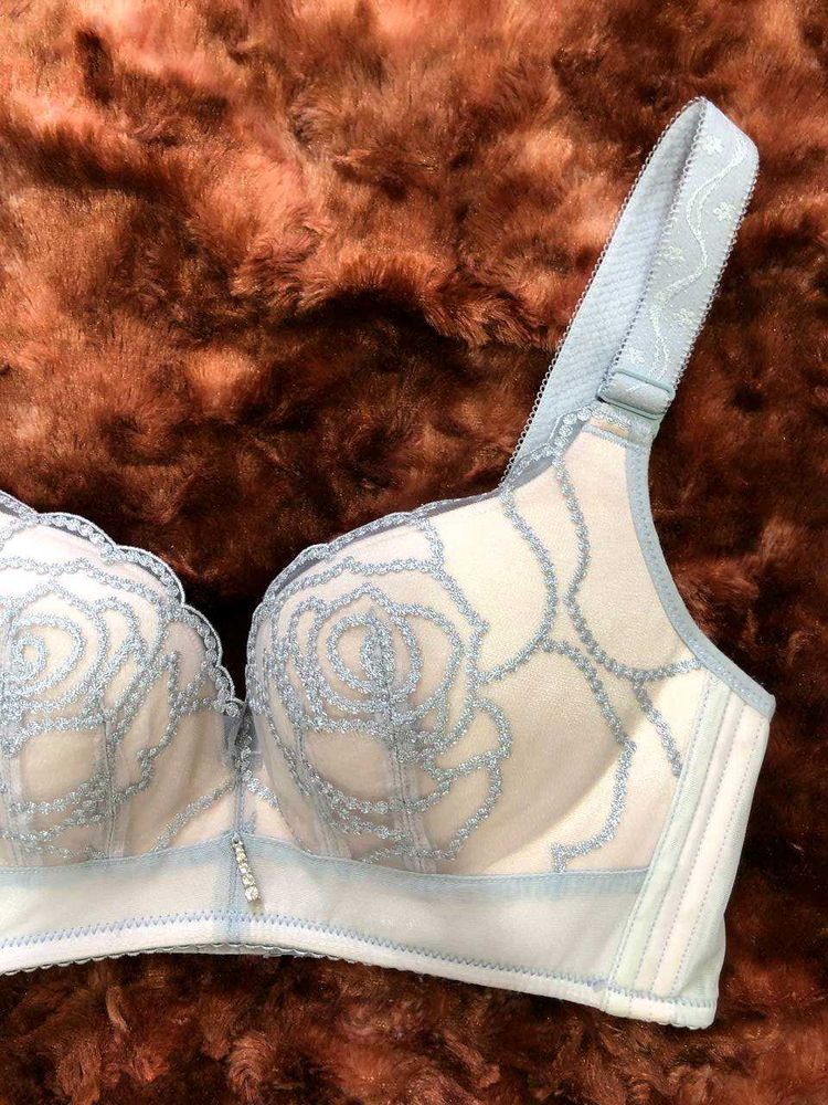 Delicate Lace Rose Embroidered Bra