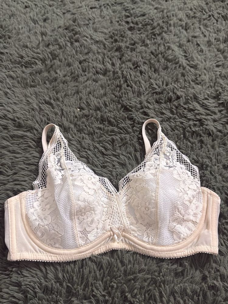 new Wacoal Lace Padded Bra