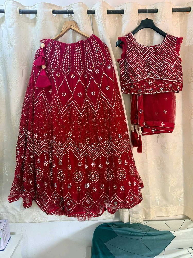 Red Heavy embroidered Mirror Work Lehenga choli