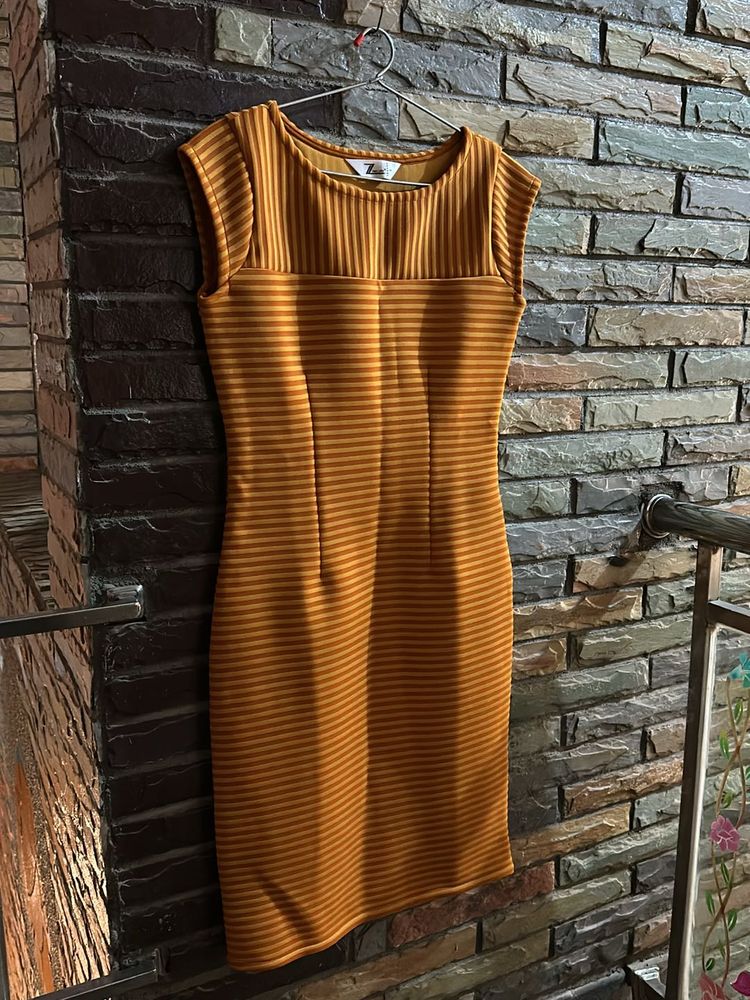 Partywear Bodycon