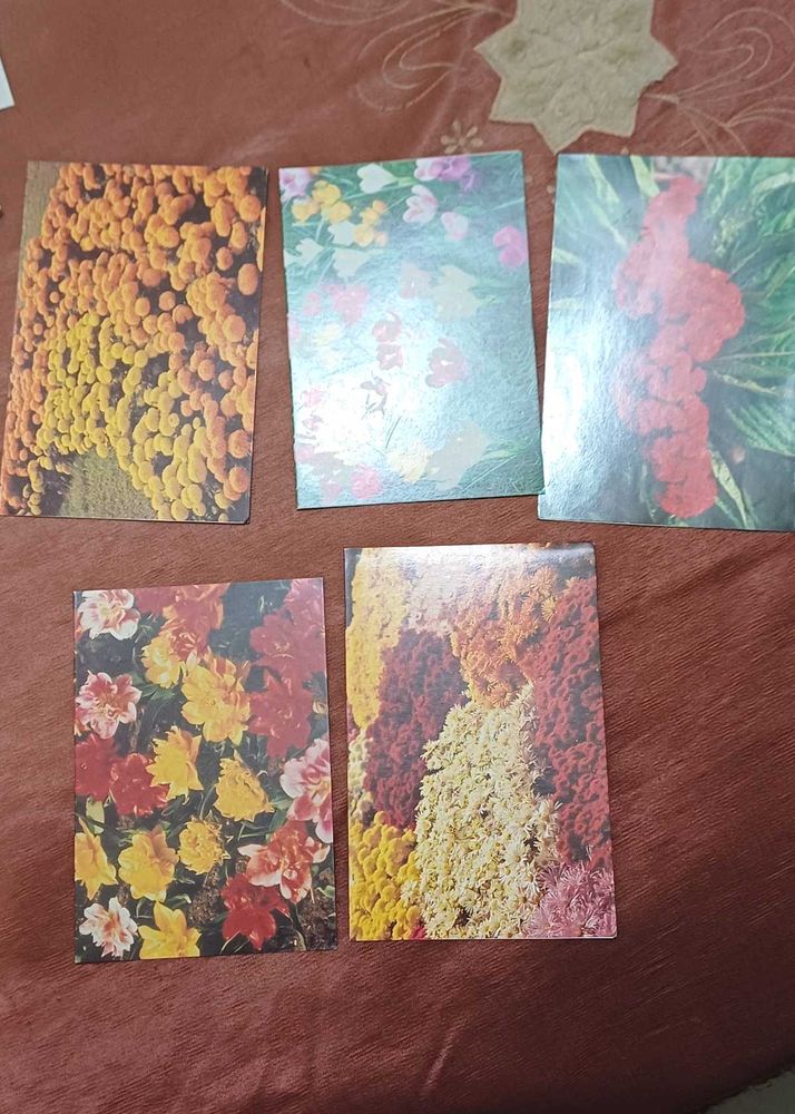Vintage Floral new year greeting cards in hindi