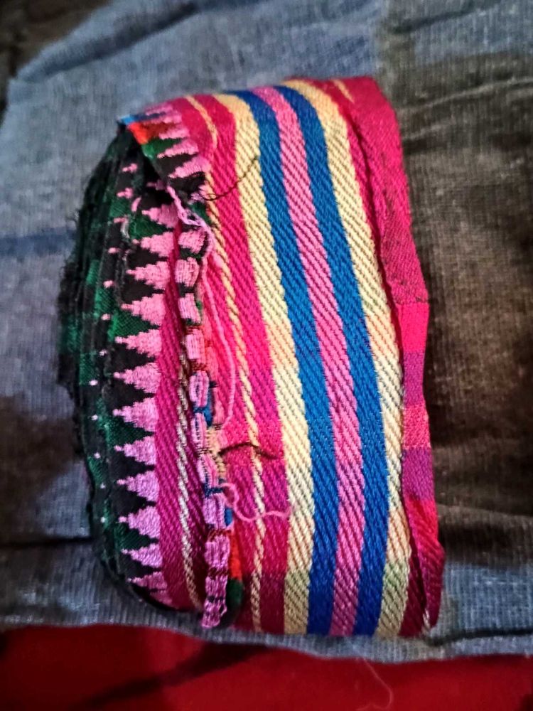 Colorful Striped Banarasi borders  (3)