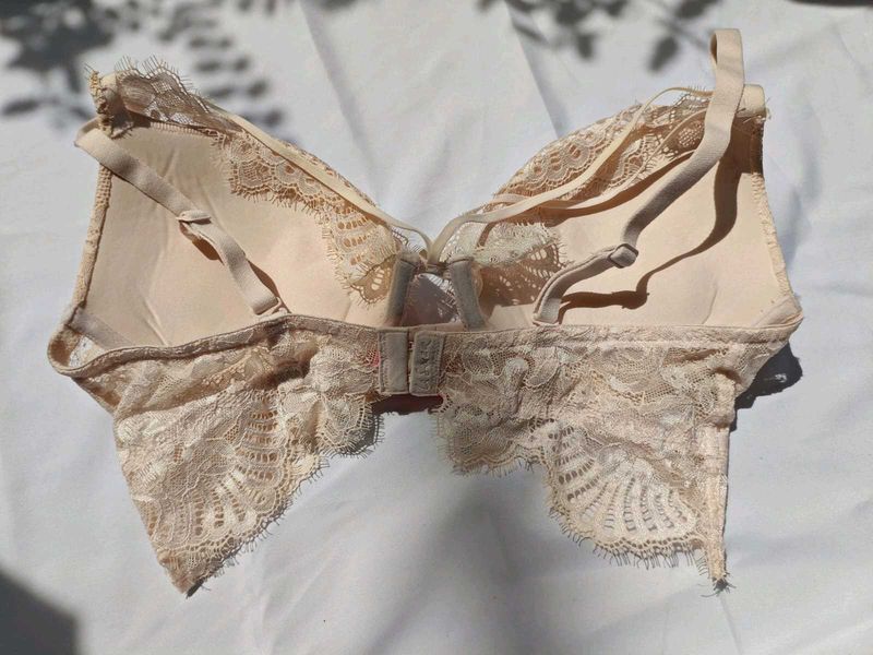Elegant Lace Bra