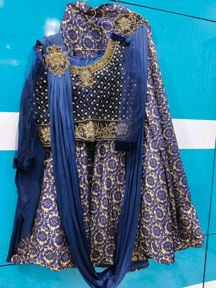 Blue &amp; Gold Embroidered Lehenga Choli