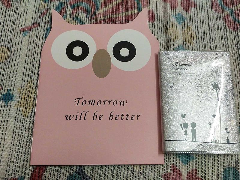 Cute Owl &amp; Summer Romance Notebooks
