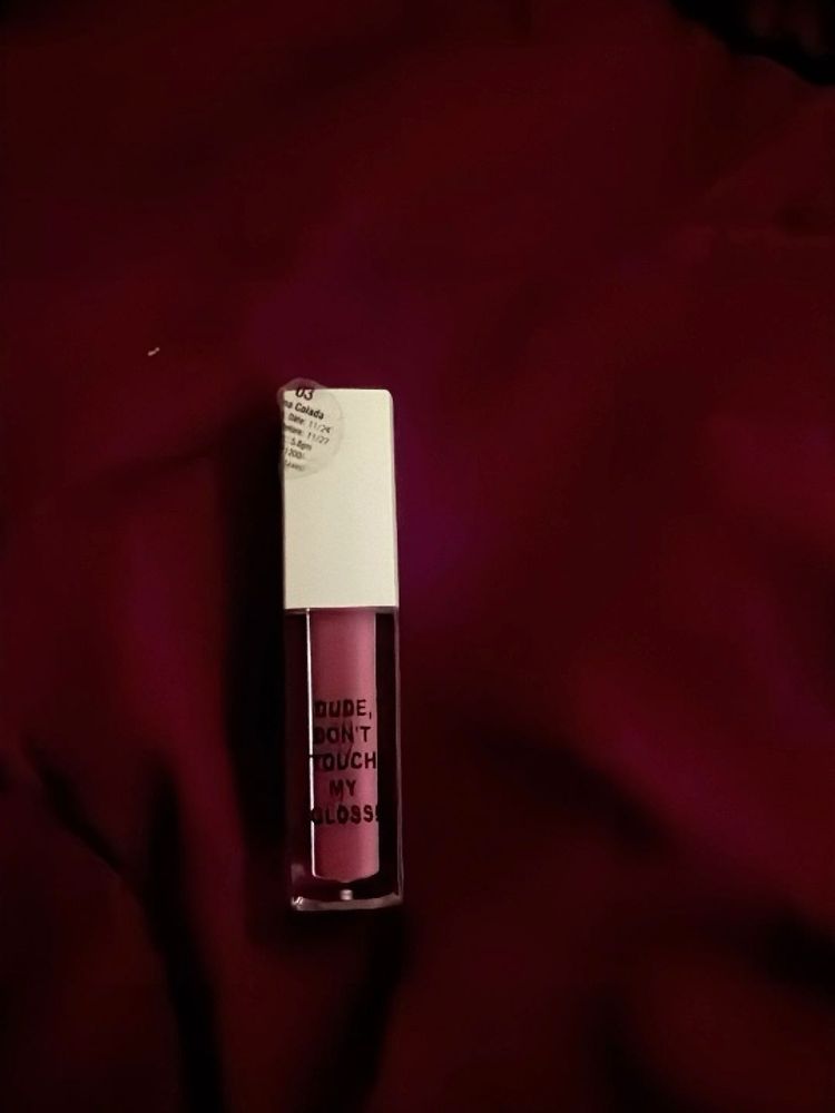 Glossy Lip Gloss - "Dude, Don't Touch My Glos