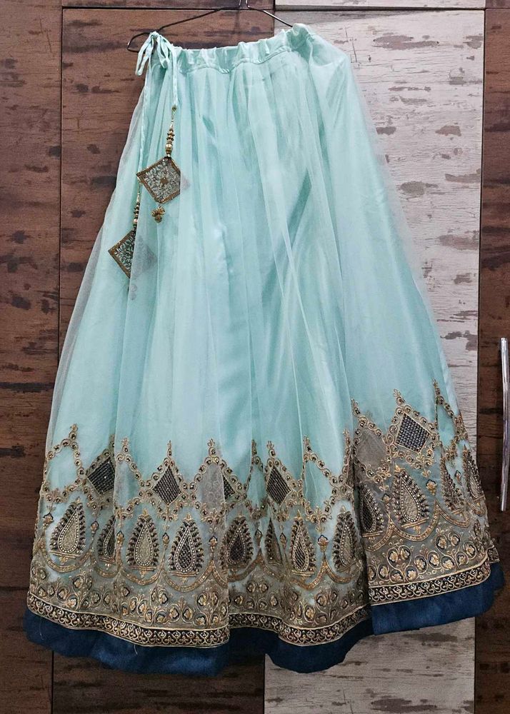 Exquisite Light Blue Lehenga Skirt